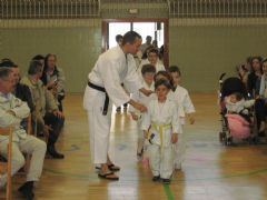 XXXVI Festival de Judo y entrega de Diplomas y Mritos 2015