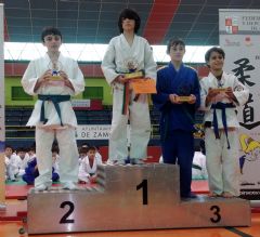 Campeonato Autonmico ALEVIN 2016