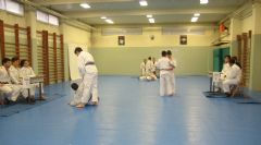 EXAMENES PARA PASO DE CINTURN (KIUS 2017)