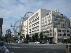 CURSO DE KATAS DE VERANO 2025-KODOKAN 30 AOS DESPUES