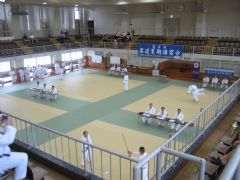 CURSO DE KATAS DE VERANO 2025-KODOKAN 30 AOS DESPUES