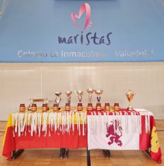 XLVI FESTIVAL DE JUDO Y ENTREGA  DE DIPLOMAS Y M�RITOS