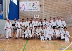 XLVI FESTIVAL DE JUDO Y ENTREGA  DE DIPLOMAS Y M�RITOS