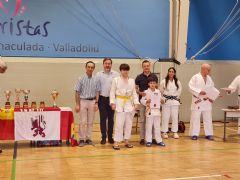 XLVI FESTIVAL DE JUDO Y ENTREGA  DE DIPLOMAS Y M�RITOS