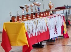XLVI FESTIVAL DE JUDO Y ENTREGA  DE DIPLOMAS Y M�RITOS