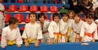IV Torneo de Judo Ciudad de Palencia - Categora Pre-Benjamn